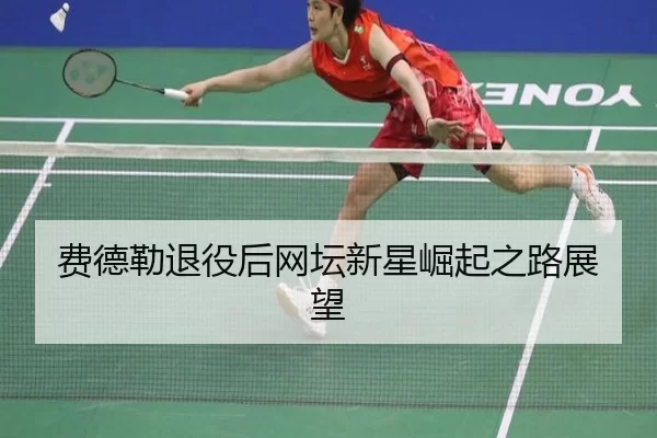 费德勒退役后网坛新星崛起之路展望